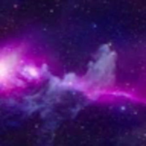 Meet your Posher, Lily kate